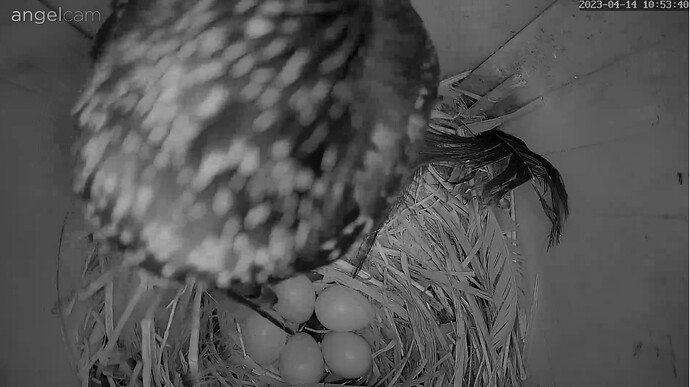 Screenshot_20230414-105407_Samsung Internet