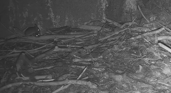 Screenshot_20250903-232825~3