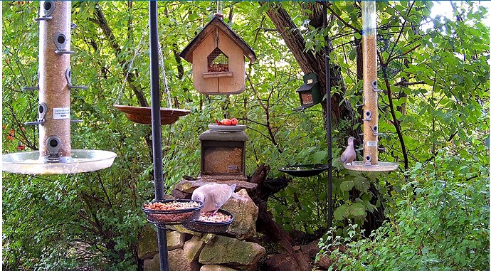 Screenshot_20250930-144054~2