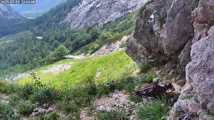 Bildschirmfoto vom 2025-07-03 12-41-29