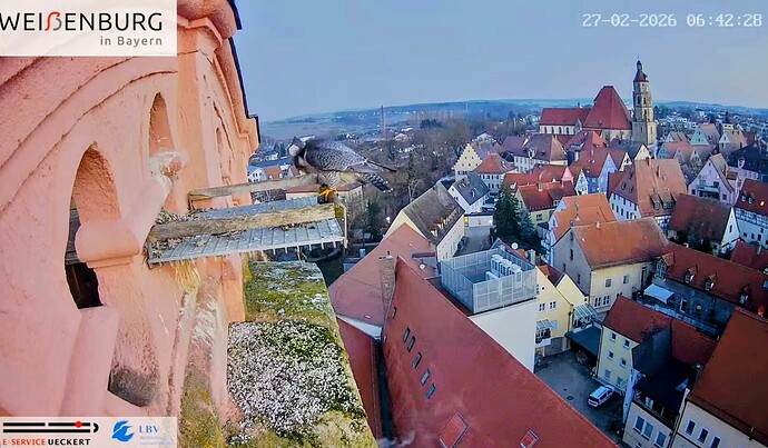 Screenshot_2026-02-27-07-51-10-029_com.google.android.youtube~3