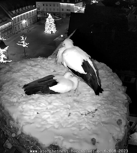 Screenshot_20231203-221518~2