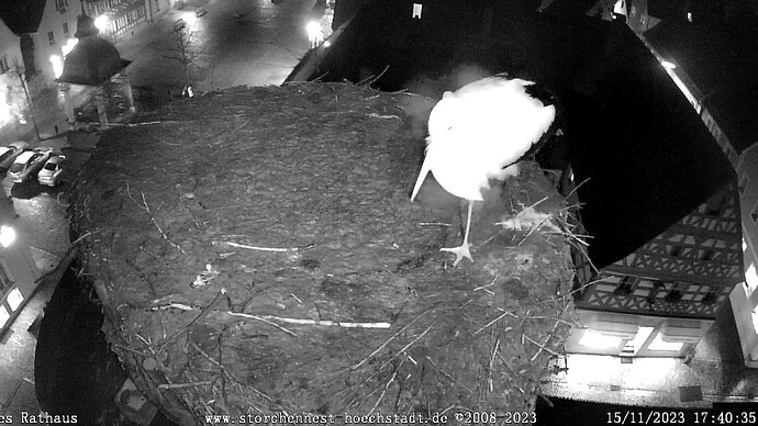 Screenshot_2023-11-15-17-40-58-184_com.android.chrome