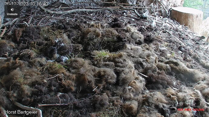 Snap_2023.12.26_10h17m18s_003_