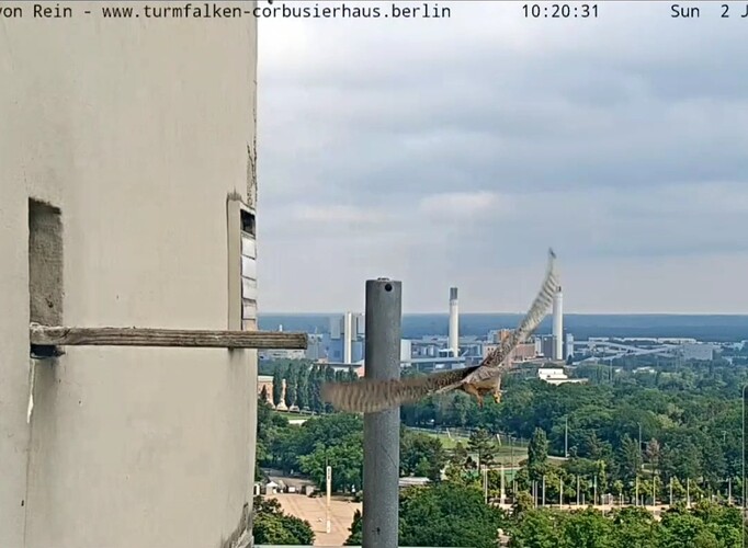 VideoCapture_20240602-114045