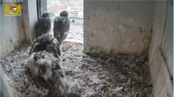 Snap_2023.05.08_06h05m00s_001_