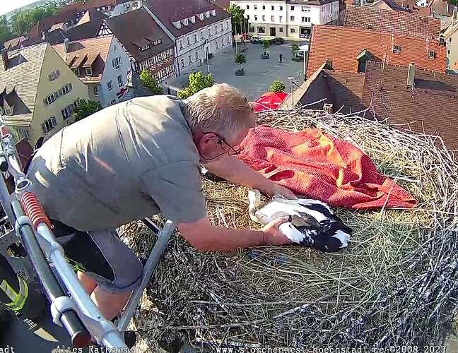 Screenshot_20230607-184355~2