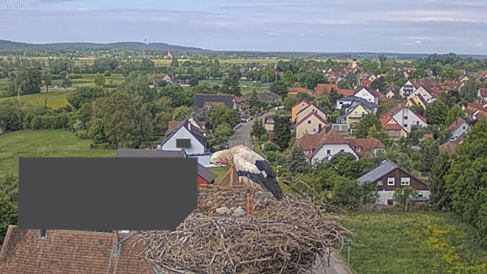 Screenshot (14950)