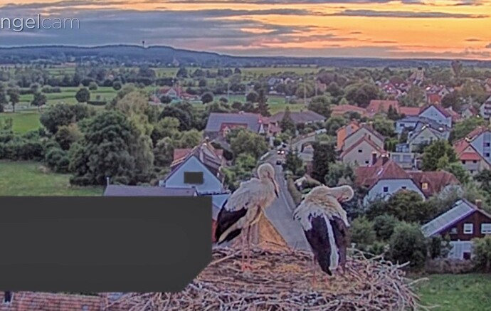 Screenshot_2025-07-22-21-12-26-042_com.android.chrome