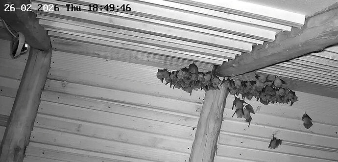 2026-02-26_2 ab 18.00 Aufbau Cluster 3