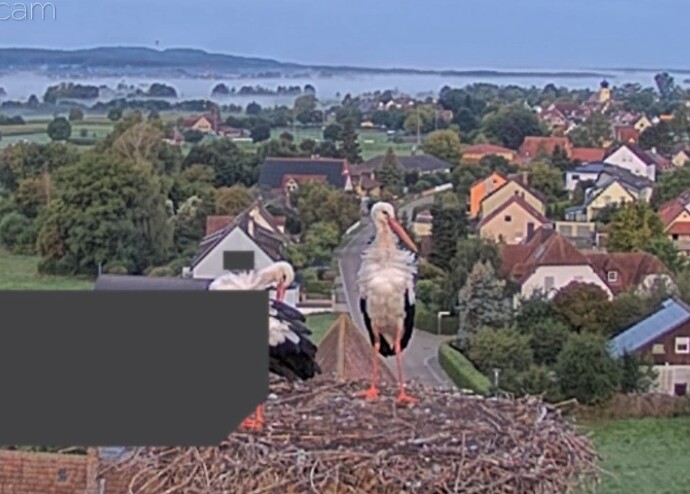 Screenshot_2025-09-07-06-53-53-229_com.android.chrome