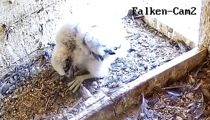 Screenshot_20230517-162046-01