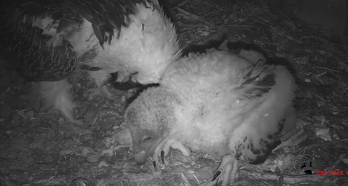 Zärtlichkeiten 14.04.24