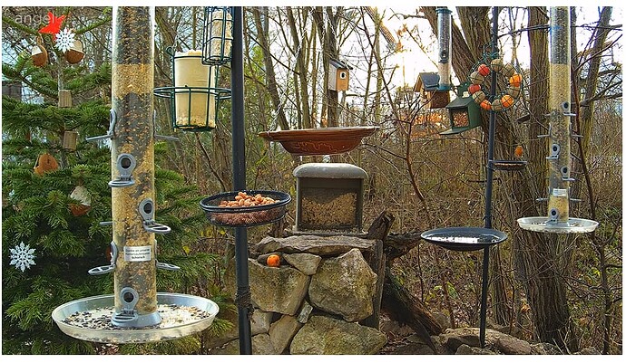 Screenshot 2022-12-25 151203 FC