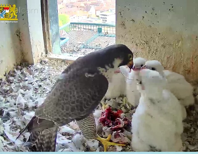 Screenshot_20230422-180117~2