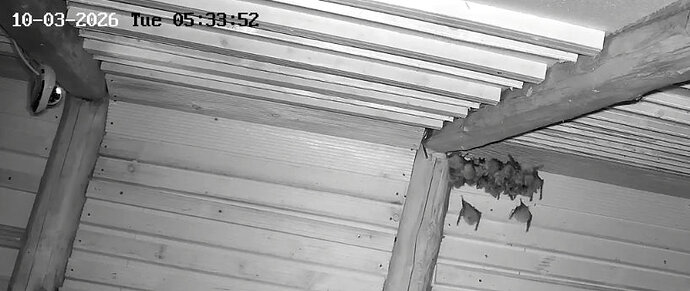 2026-03-10_1 ab 5.00 WG