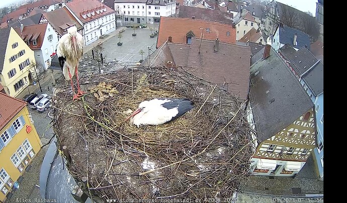 Bild