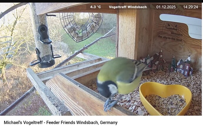 Screenshot_20251201-142944~2