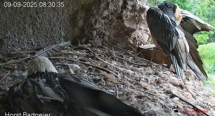 M Morgentoilette 09.09.25