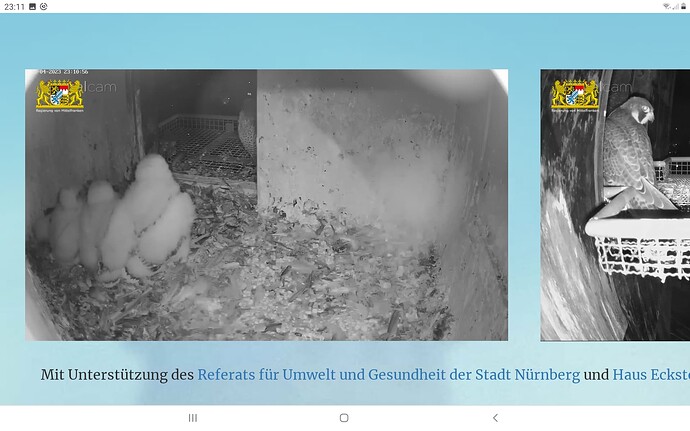 Screenshot_20230425-231116_Chrome