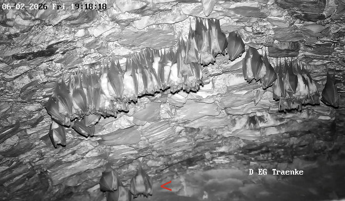 2026-02-6_1 ab 19.00