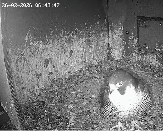 Screenshot_2026-02-26-06-37-08-814_com.android.chrome~2