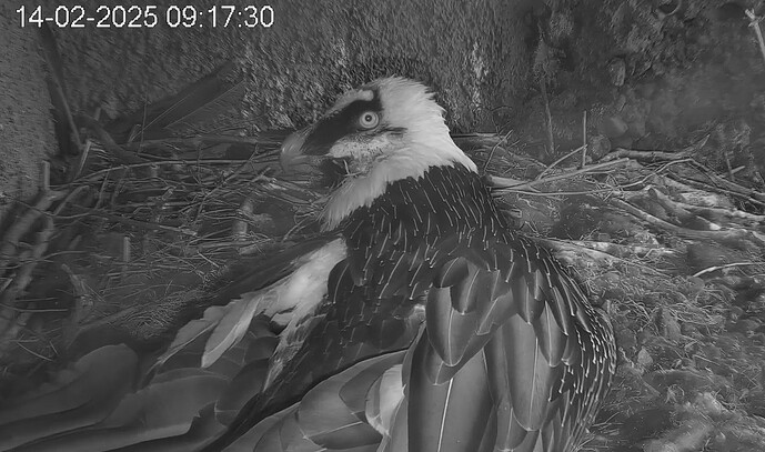 Prüfender Blick von Mascha 14.02.25