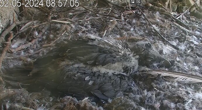 Weiterschlafen 02.05.24