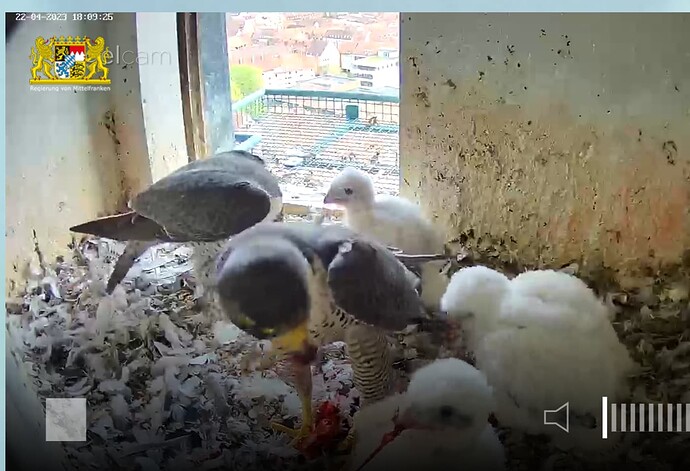 Capture+_2023-04-22-18-09-49(1)