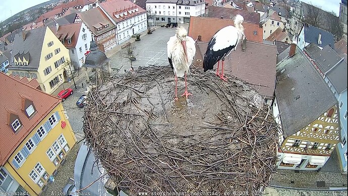 Bild
