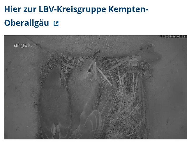 Screenshot_20230516_090339_Samsung Internet