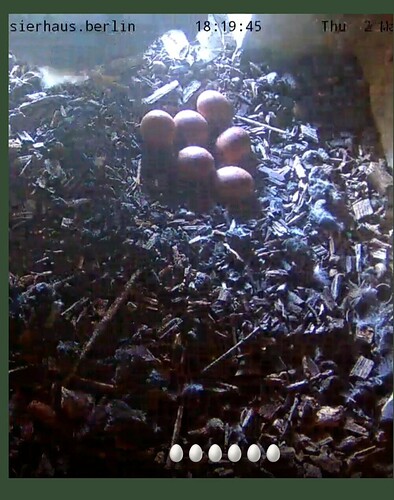 VideoCapture_20240502-222746