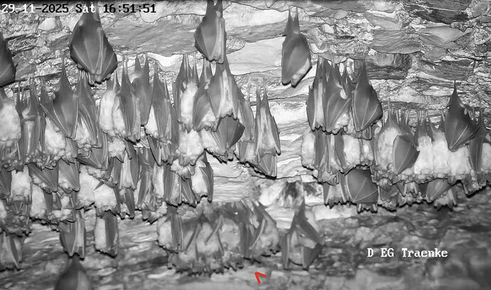 Vollbildaufzeichnung 29.11.2025 165154