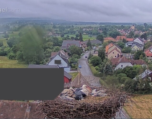 Screenshot_20240601_204750_Chrome