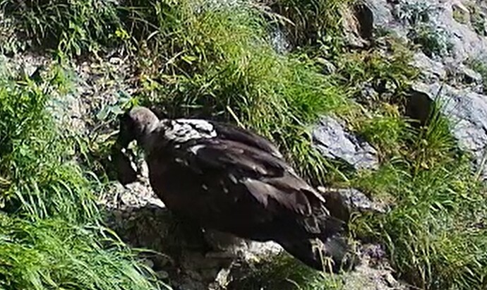 L. Fundstück 14.06.25