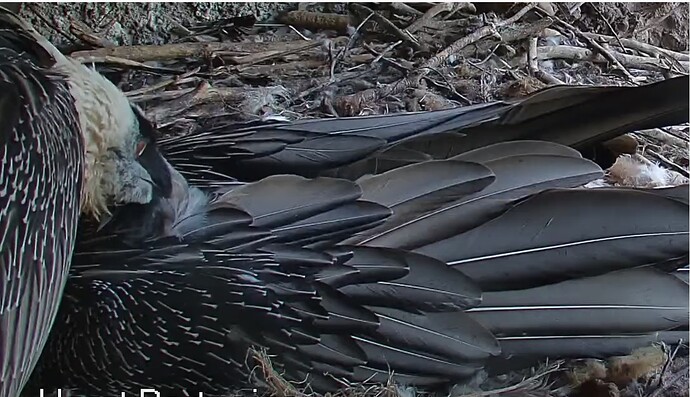 Mascha genießt 1 04.09.25