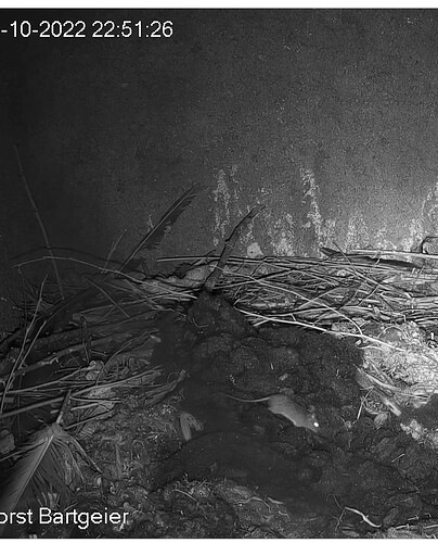 Screenshot_20221019-225158_Chrome