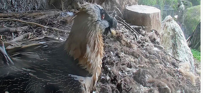 Screenshot_2026-02-10-13-21-55-872_com.android.chrome~2