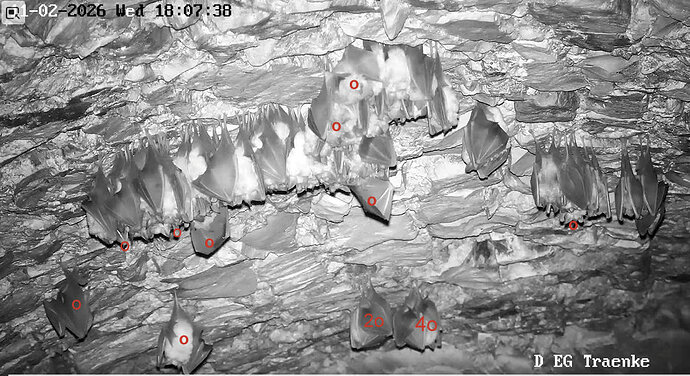 2026-02-11_2 18.00 aktive Hufis