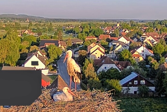 Screenshot_2025-05-09-06-25-43-625_com_1746769121216.android.chrome