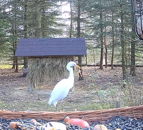 Snap_2023.11.23_14h15m32s_011_