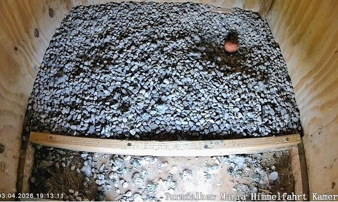 Screenshot_2026-04-03-19-13-35-113_com.android.chrome~2