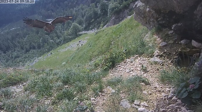 2023-07-24 09_18_42-Greenshot