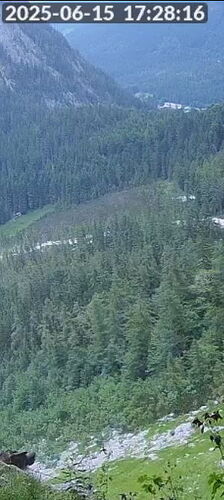 Snap_2025.06.15_17h28m39s_016_