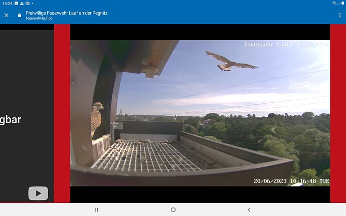 Screenshot_20230620-142415_Chrome