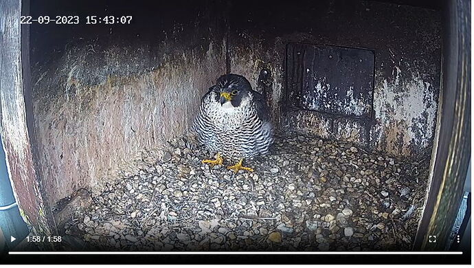 Snap_2023.09.22_16h41m13s_002_