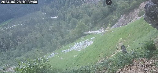 Snap_2024.06.28_10h40m05s_005_