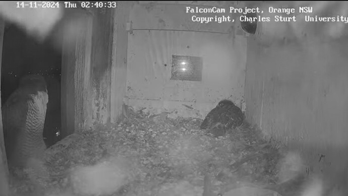 Screenshot_20241113_164052_Chrome