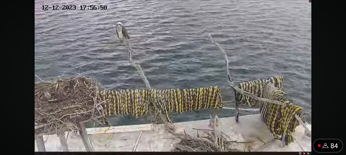 Screenshot_20231212_082818_YouTube