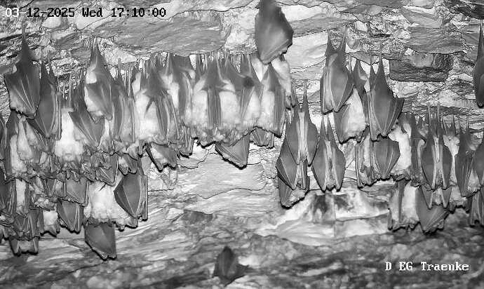 Besuch Vollbildaufzeichnung 03.12.2025 171015